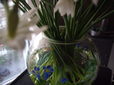 flower-vase.jpg