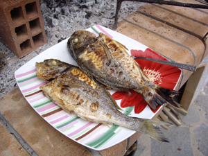 fishes-on-plate.jpg